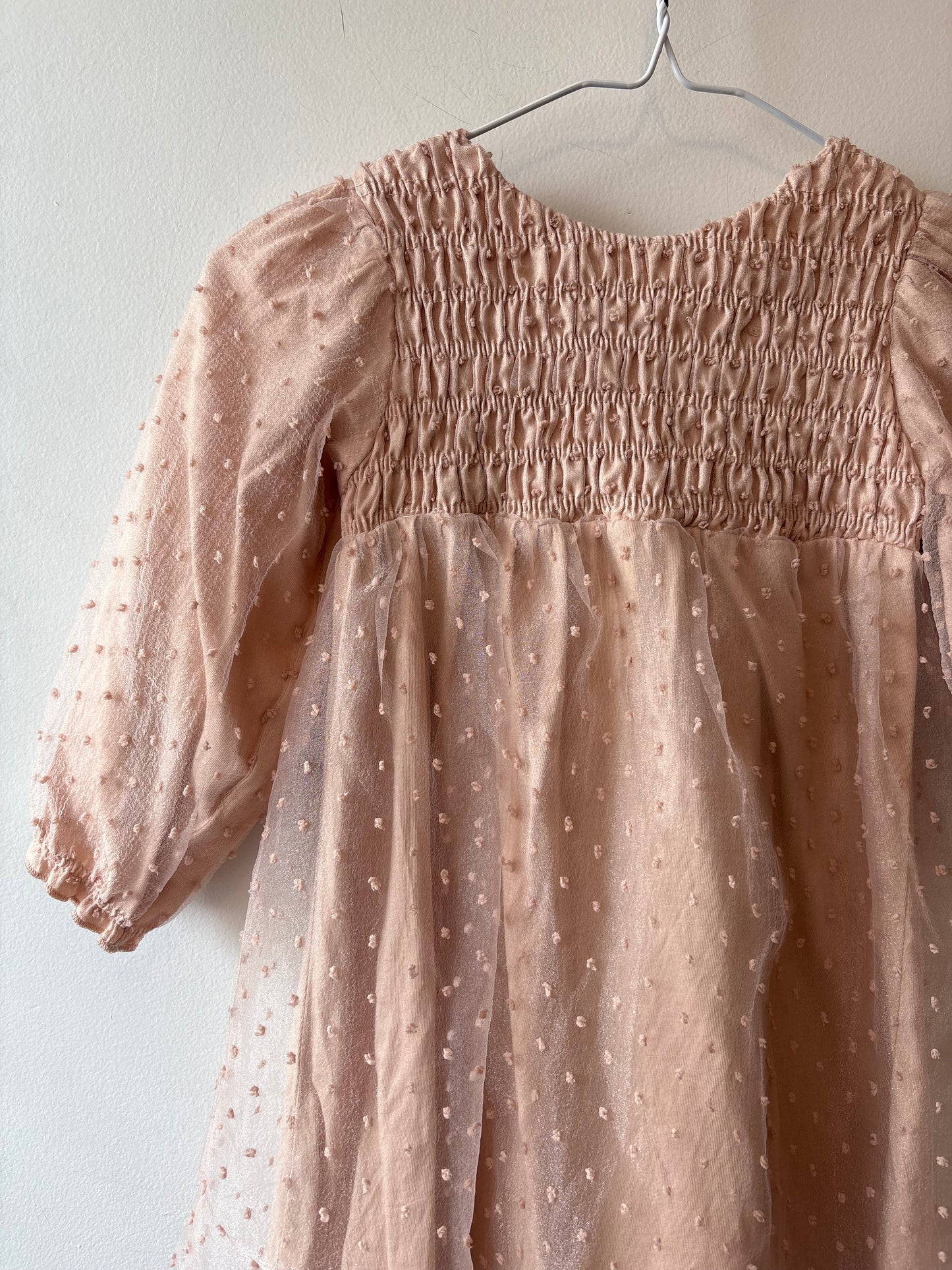 Zara Swiss Dot Dress | 5 Years