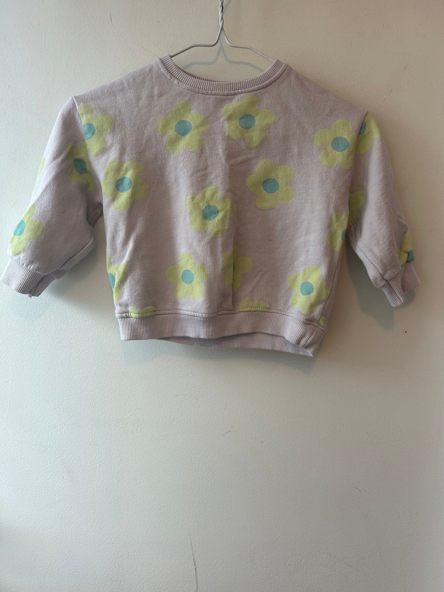 Zara Sweatshirt | 12M