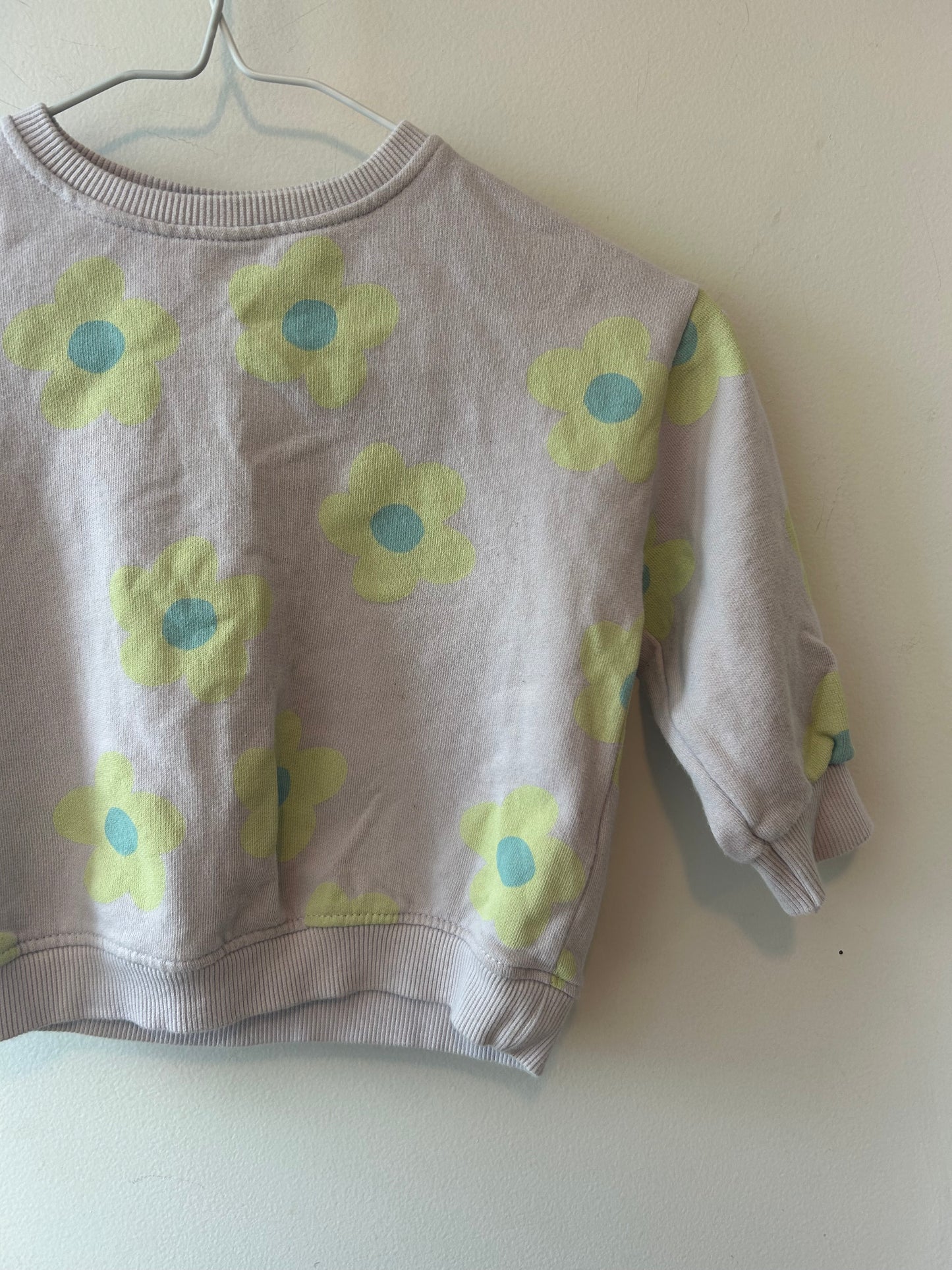 Zara Sweatshirt | 12M