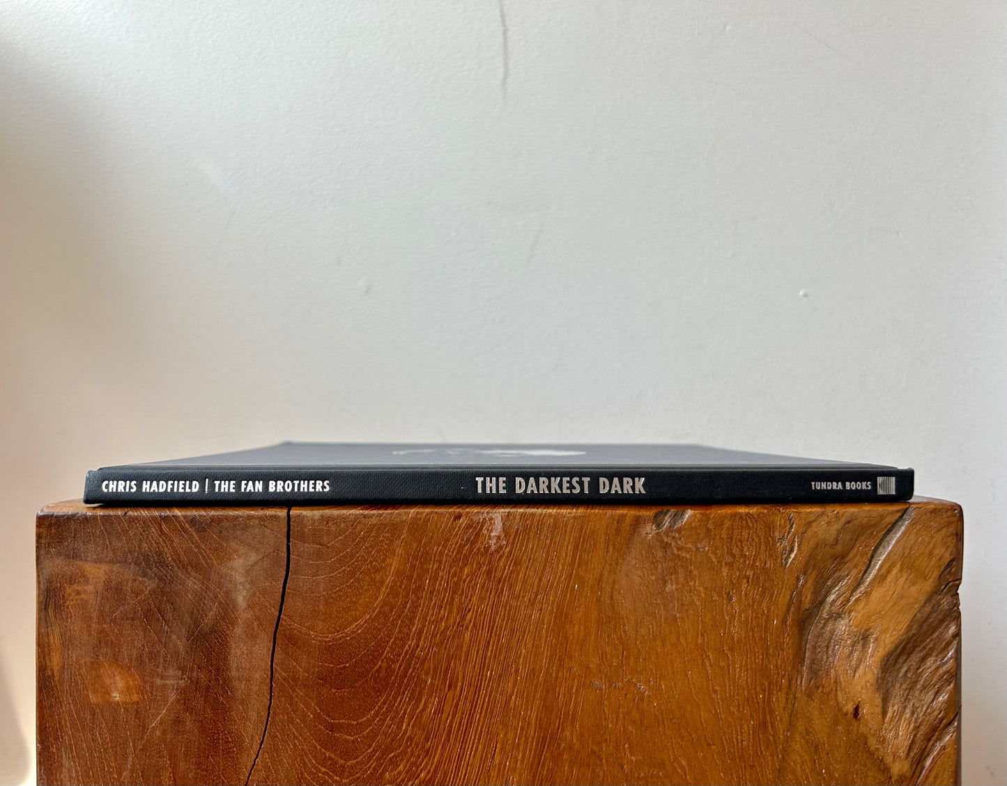 The Darkest Dark Book