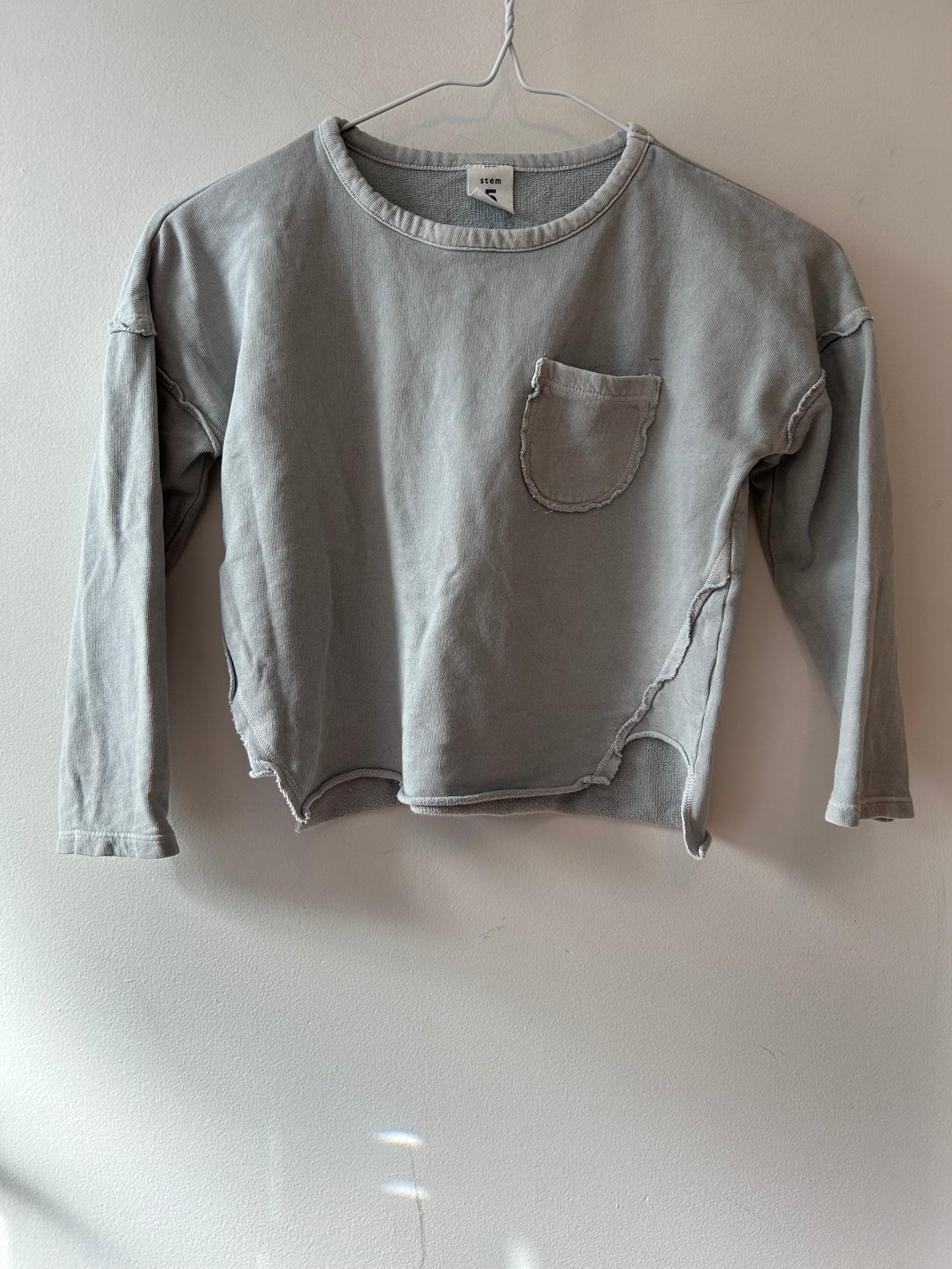 Stem Light Sweatshirt (5 Years)
