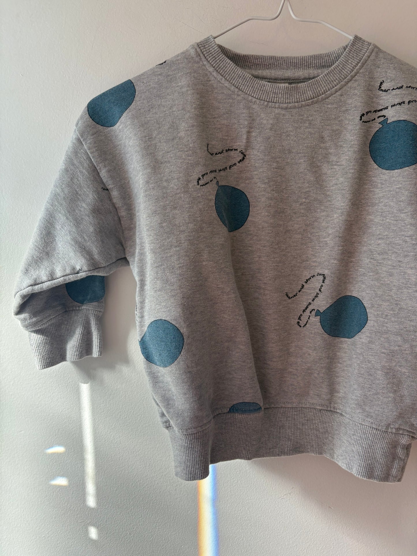 Summer & Storm Sweatshirt | 3 Years