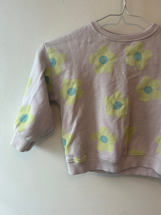 Zara Sweatshirt | 12M