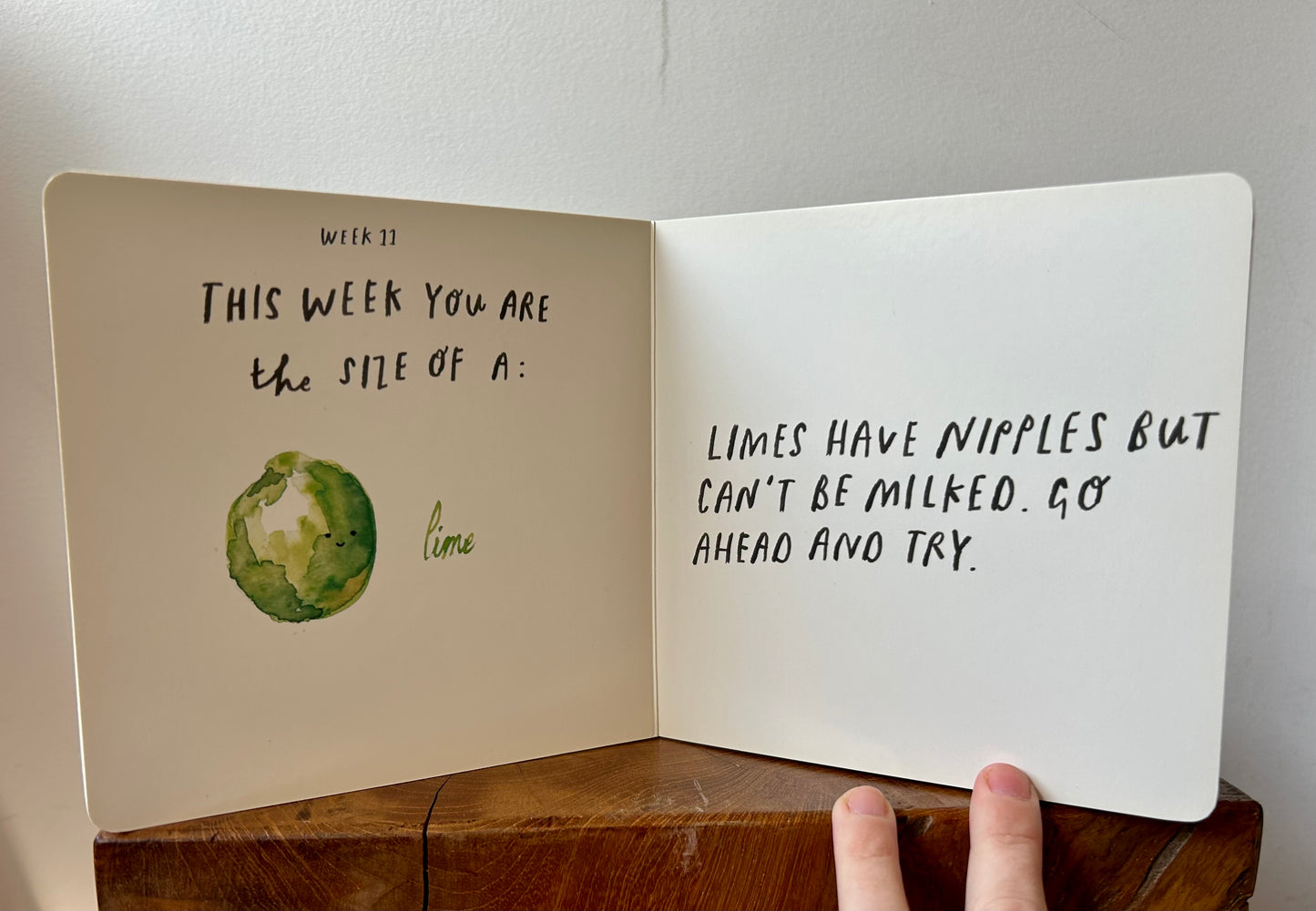 The Fruits of Your Labour Book