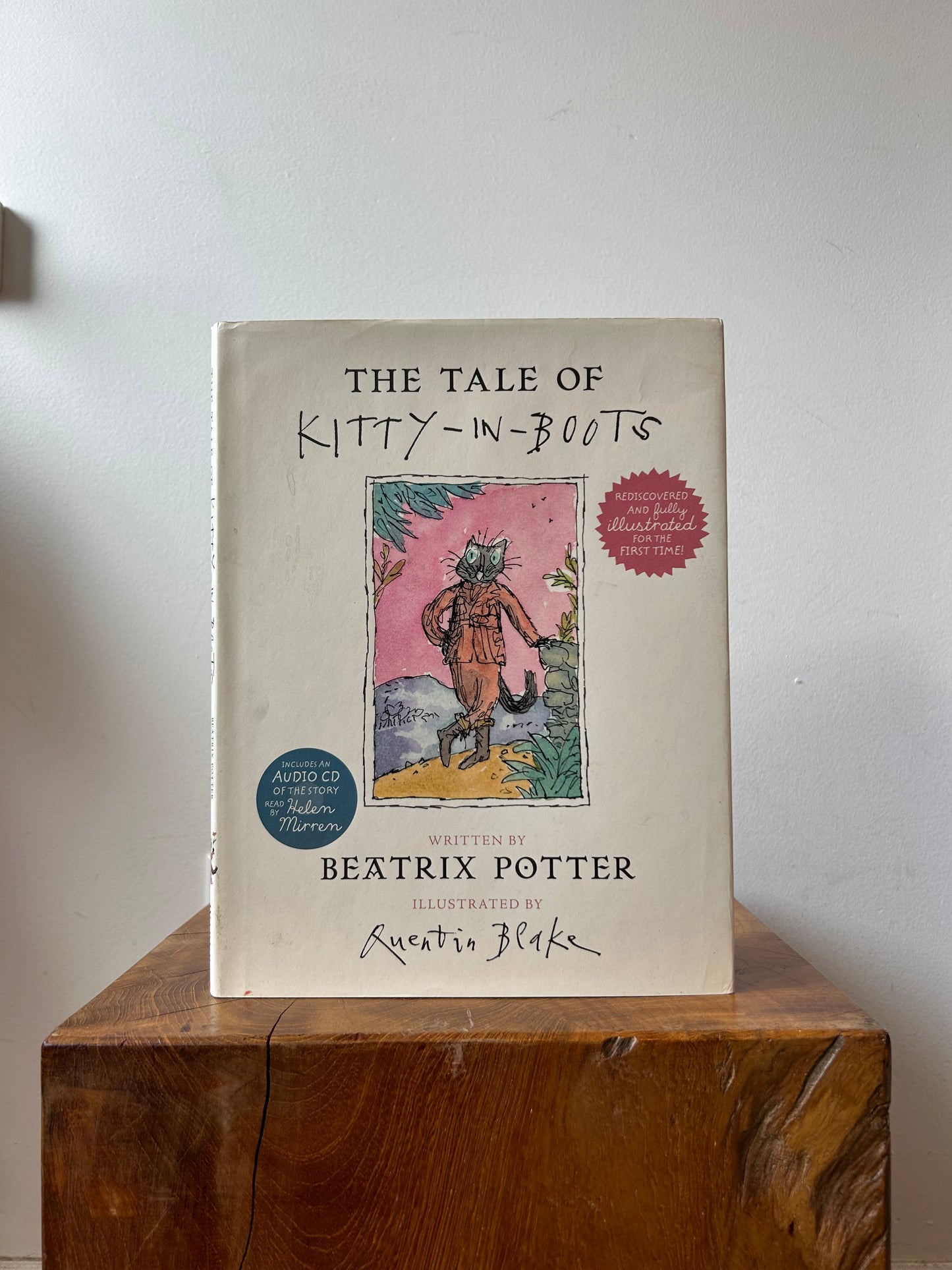  The Tale of Kitty-N-Boots Book